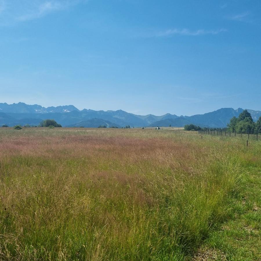 Domek Zakopane Tatrzanski Kacik Apartzakop Luaran gambar